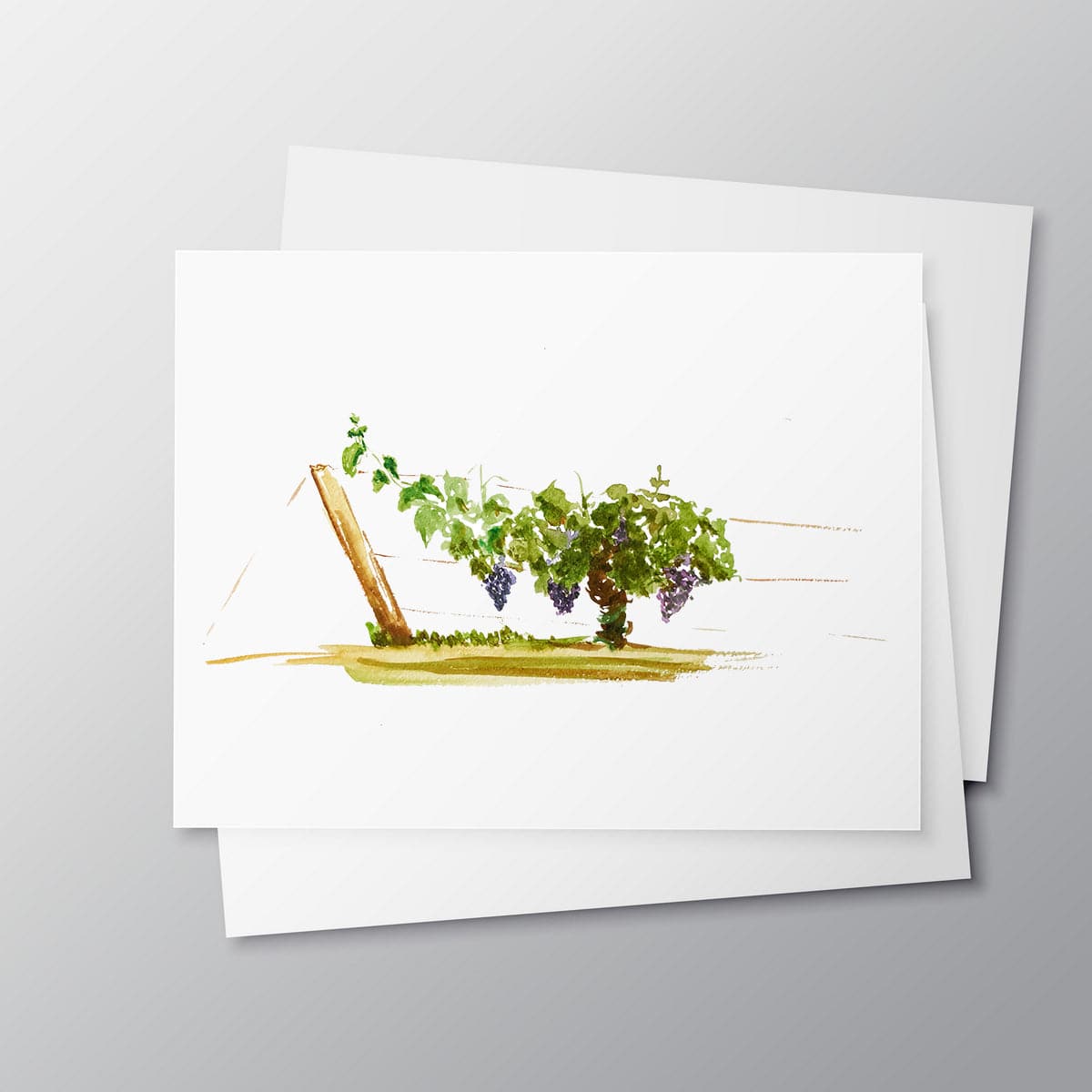 Carte aquarelle vigne