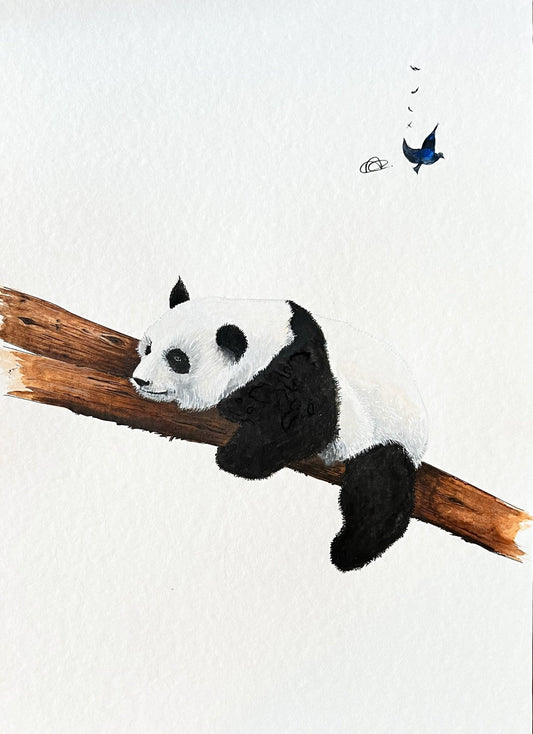 Original encadré - Bébé panda - Alexandra de Lambilly Illustration